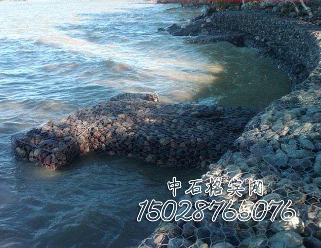 鍍高爾凡雷諾護墊